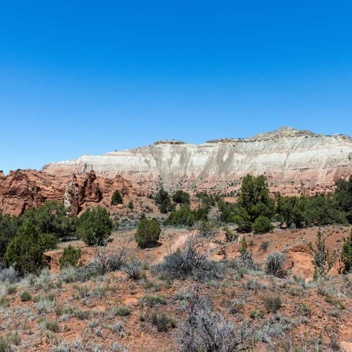Near Panorama Trail - Main Loop