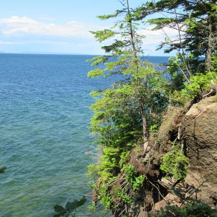 Near East and West Huginnin Cove Trail