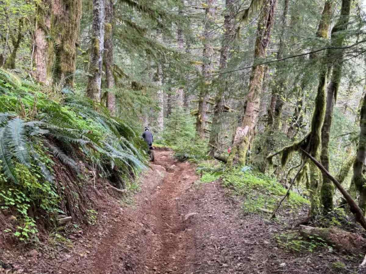 Ginger Creek Access Loop photo 3
