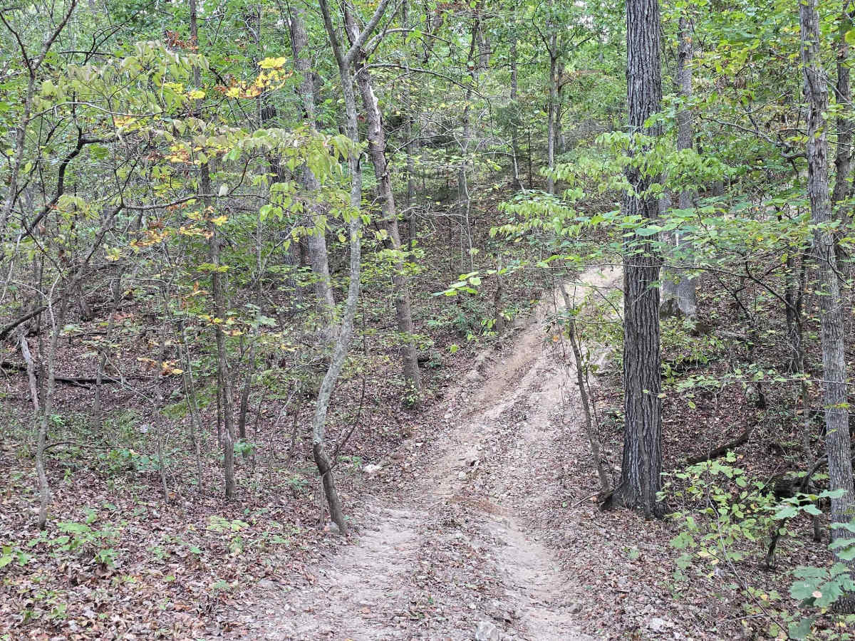 Hungover Trail photo 3