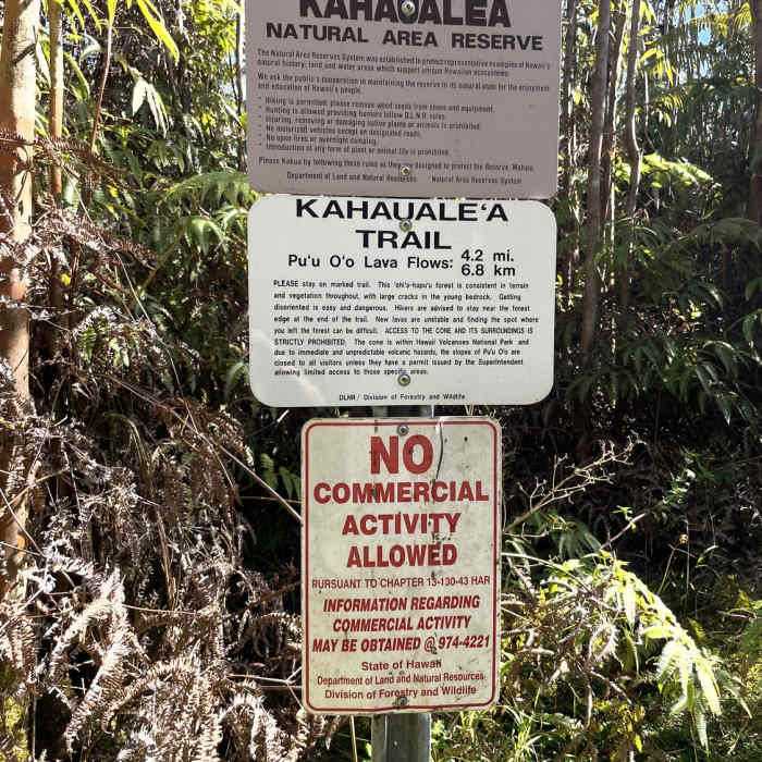 Near Kahauale'a Trail