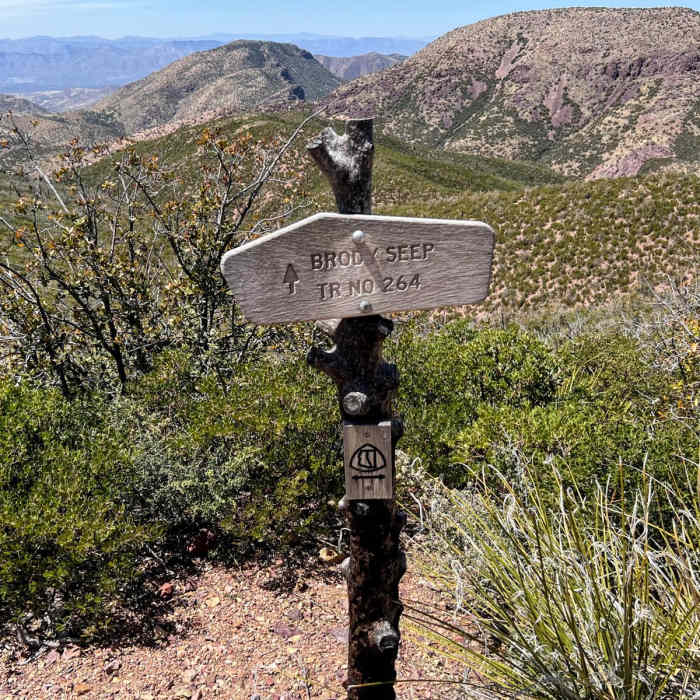 Near Arizona Trail Passage 23: Mazatzal Divide Near Arizona Trail Passage 23: Mazatzal Divide