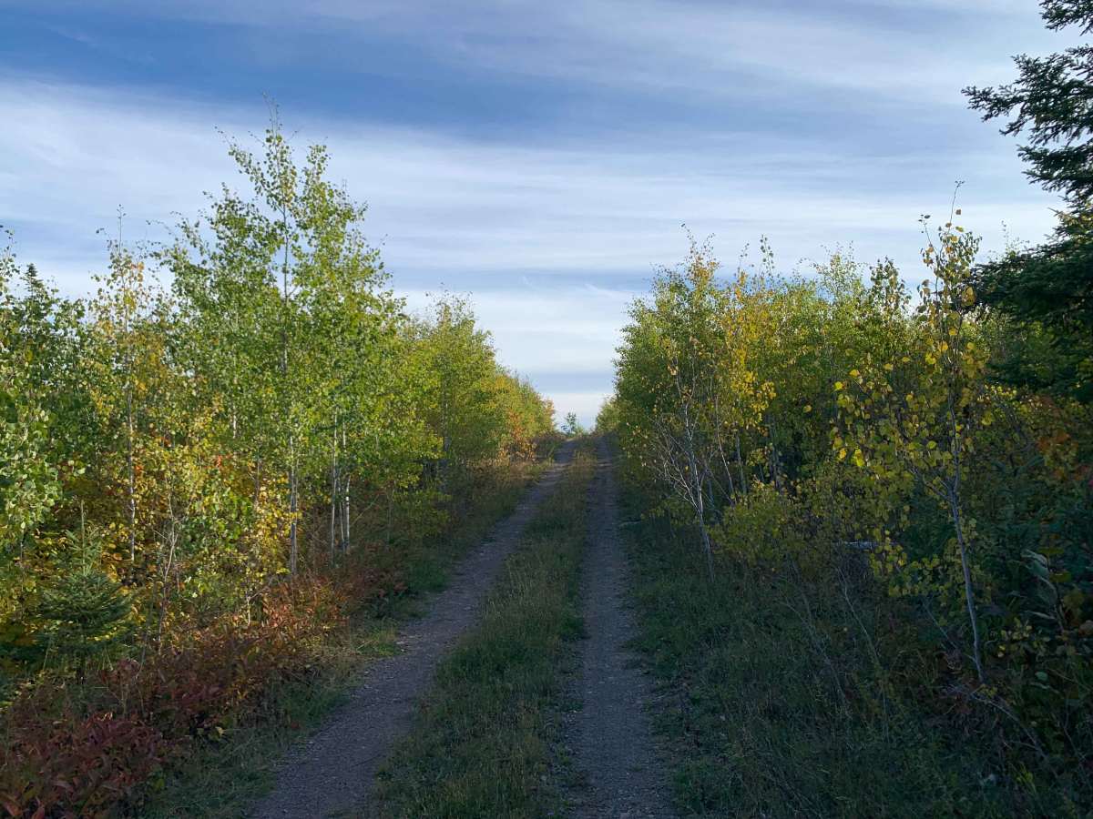 Frank Lake Trail - FS 1885 photo 5