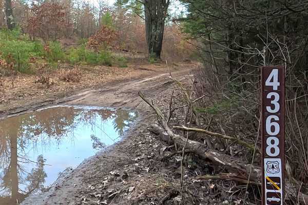 Au Sable Loop - FS 4368
