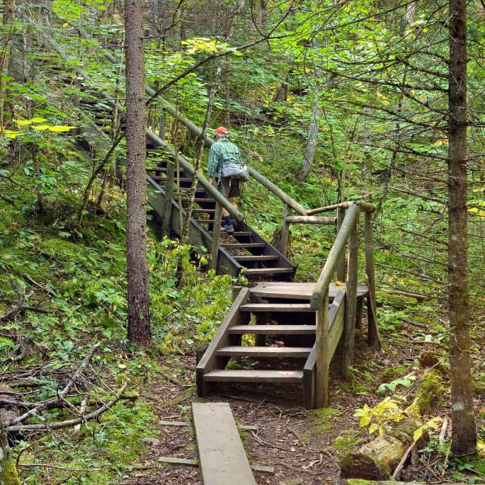 The 96 Steps Near Cascade River Loop