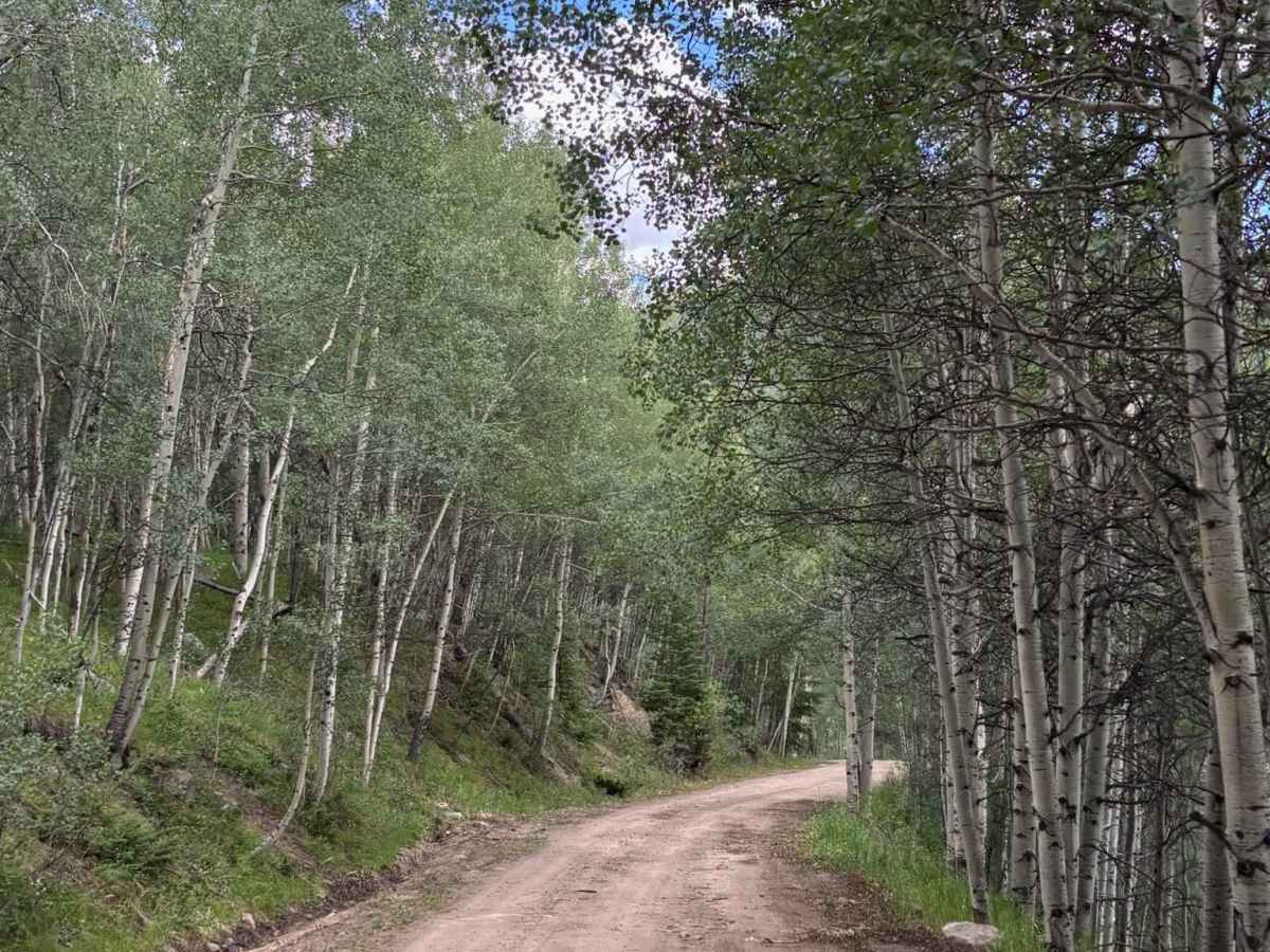 Nast Lake Access photo 2