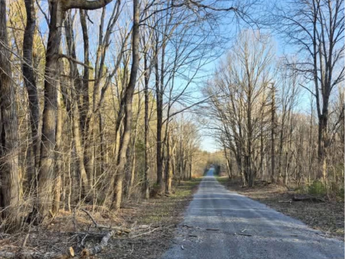 McGoldrick Truck Trail photo 5