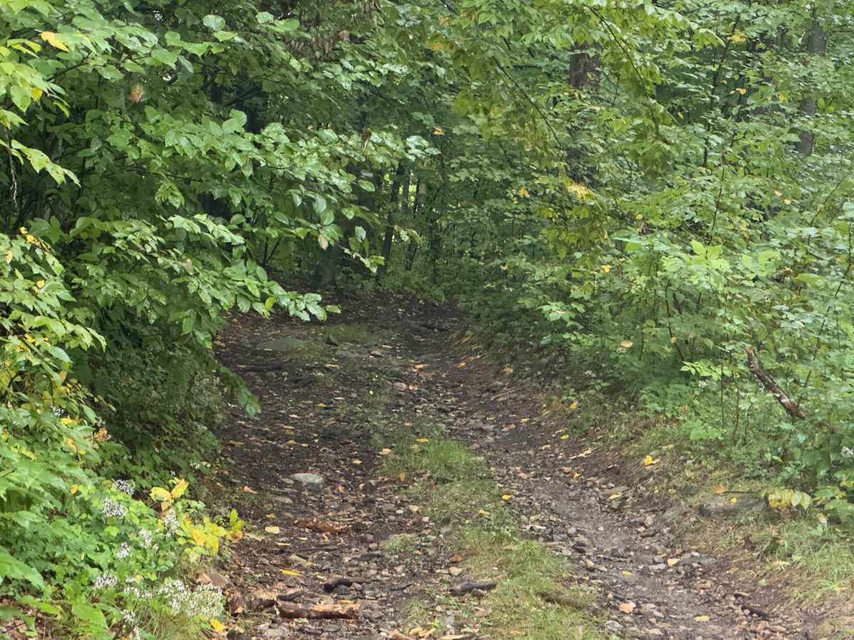 White Oak Road photo 4