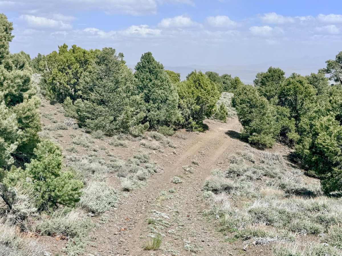 Lynch Creek Loop - FS 43275 photo 4