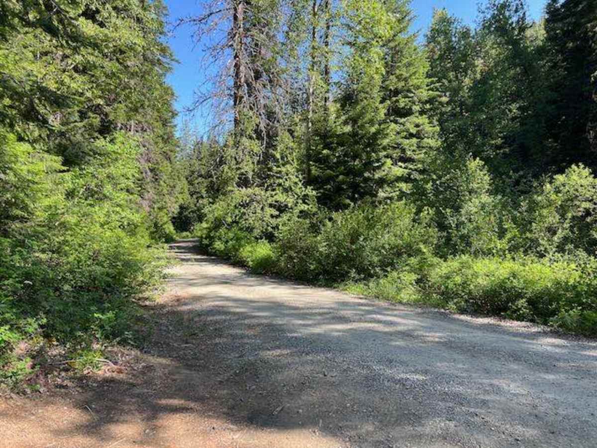 Scotty Creek Road - FS 7324 photo 5
