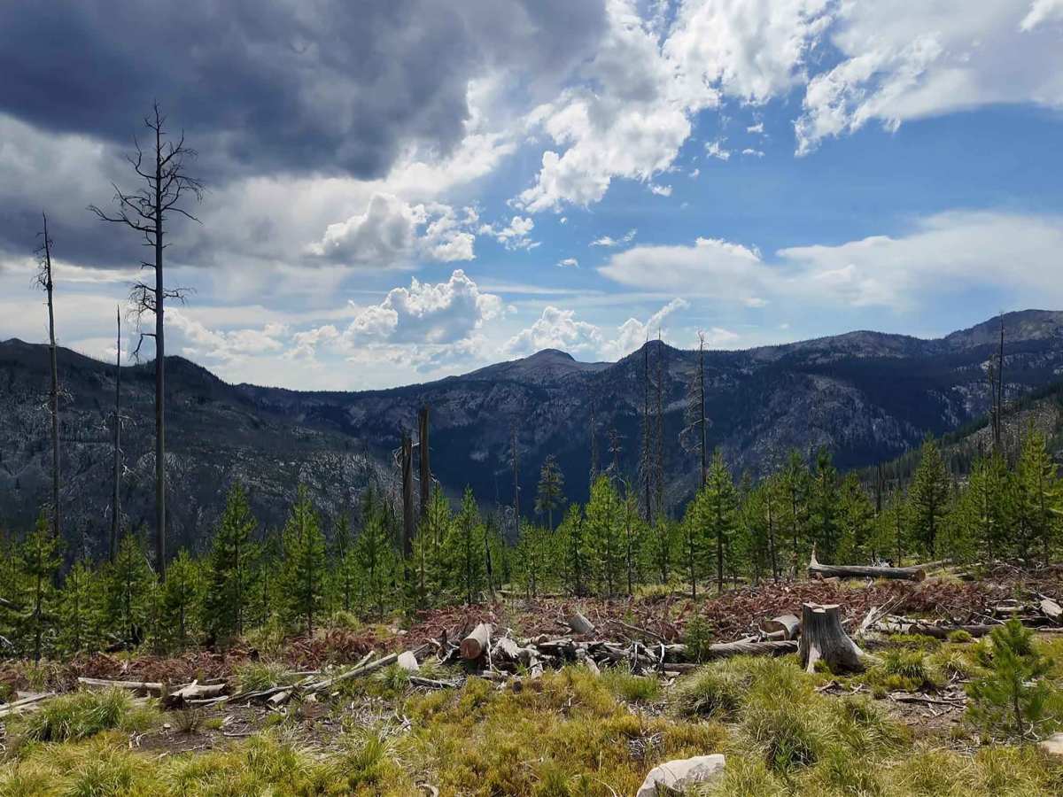 Orogrande Summit photo 4