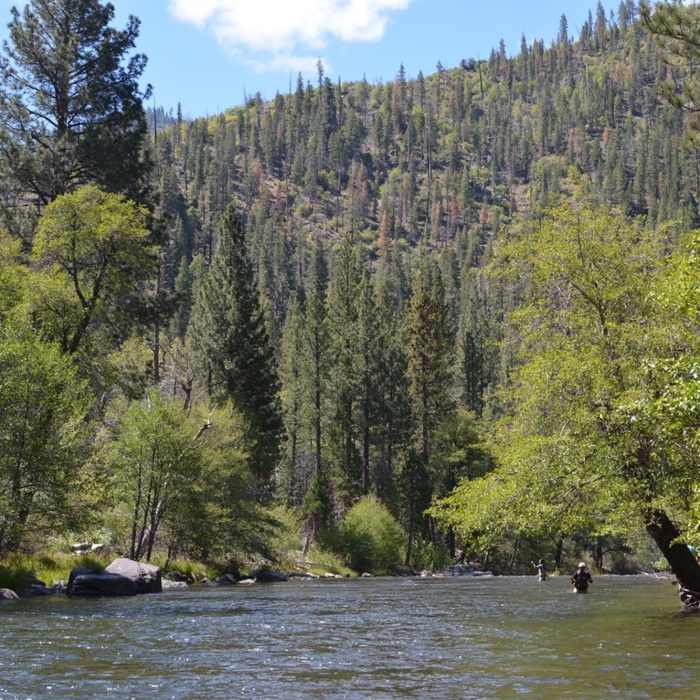 Near Forks of the Kern (33E20)