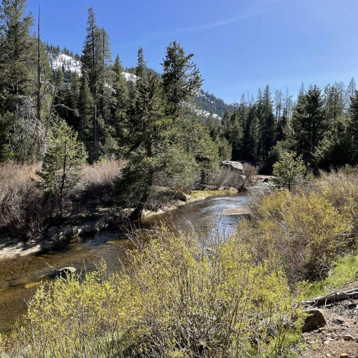 Near Lower Carpenter Valley Trail
