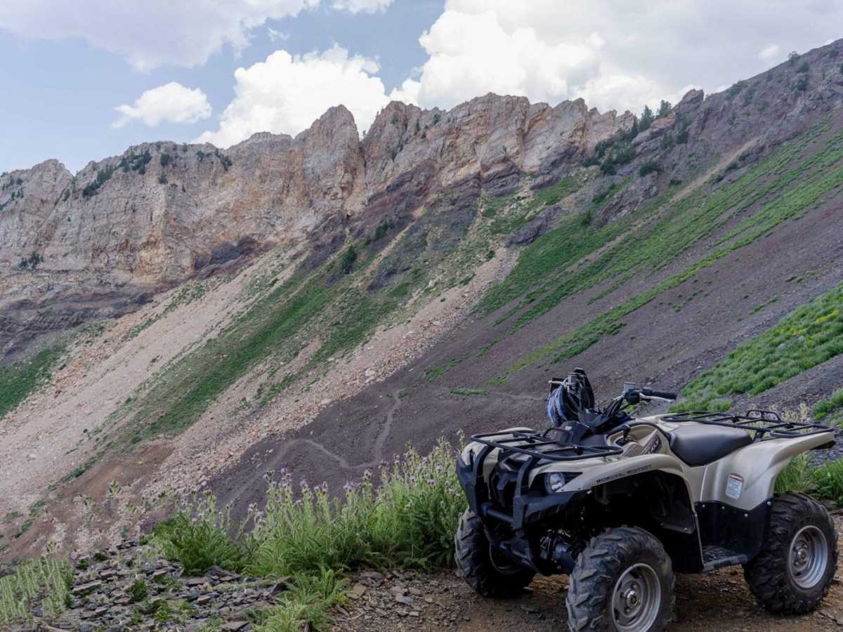 Mineral Fork photo 4