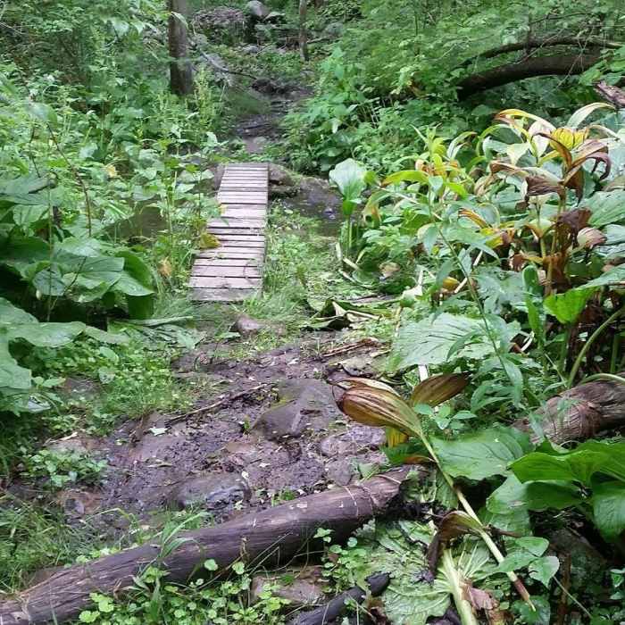 Muddy, rocky, and technical, this section will test your foot placement! Near Outer Loop