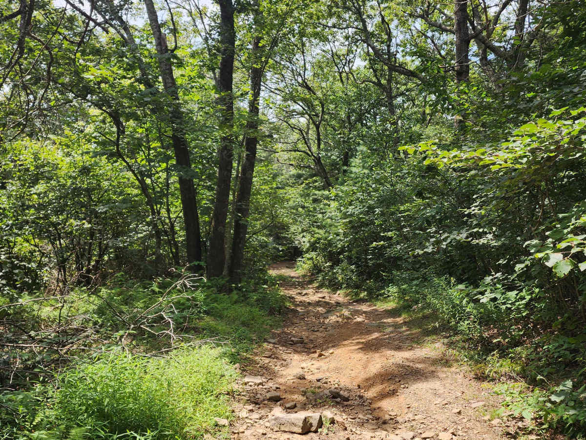 Rocky Run photo 6