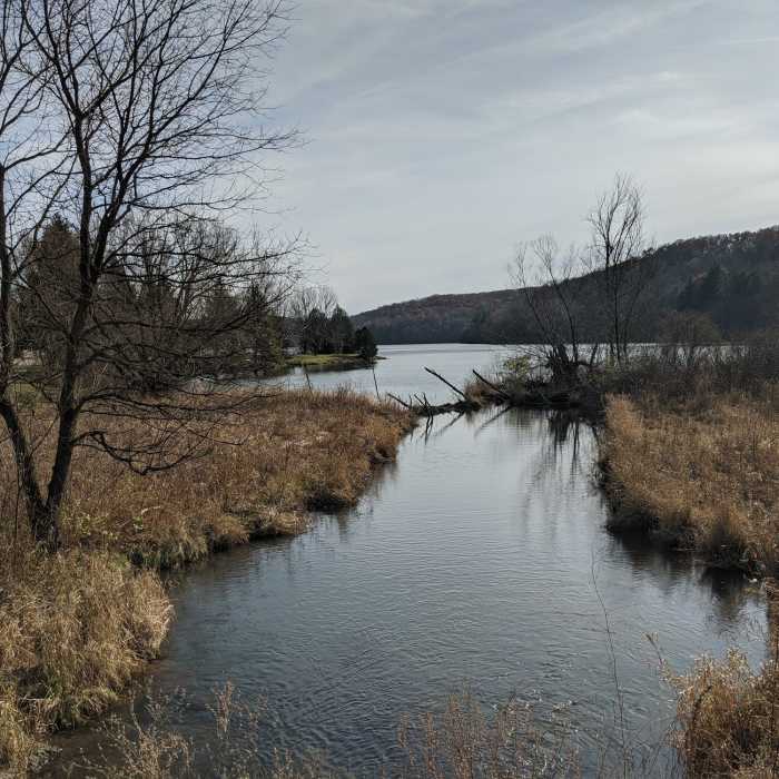 Near Lake Loop