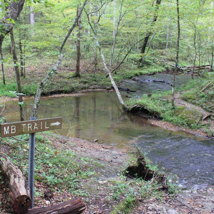 One of the stream crossings by the wildcat shelter. Near North Loop