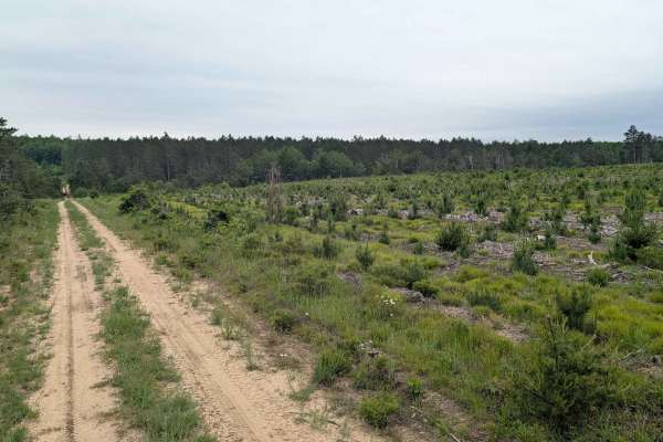 Tarn Trail