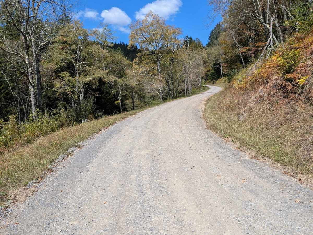 Little River Connector trail photo