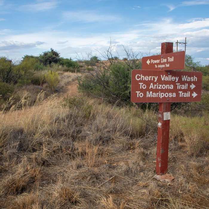 Near Power Line Trail