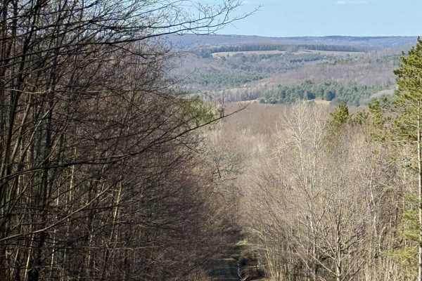 Plumbottom Brown Road
