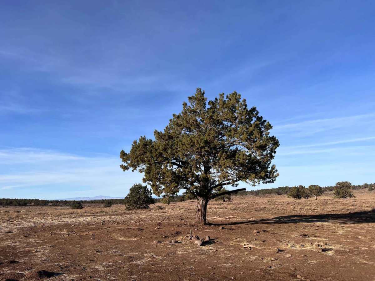 Corral Creek Road trail photo
