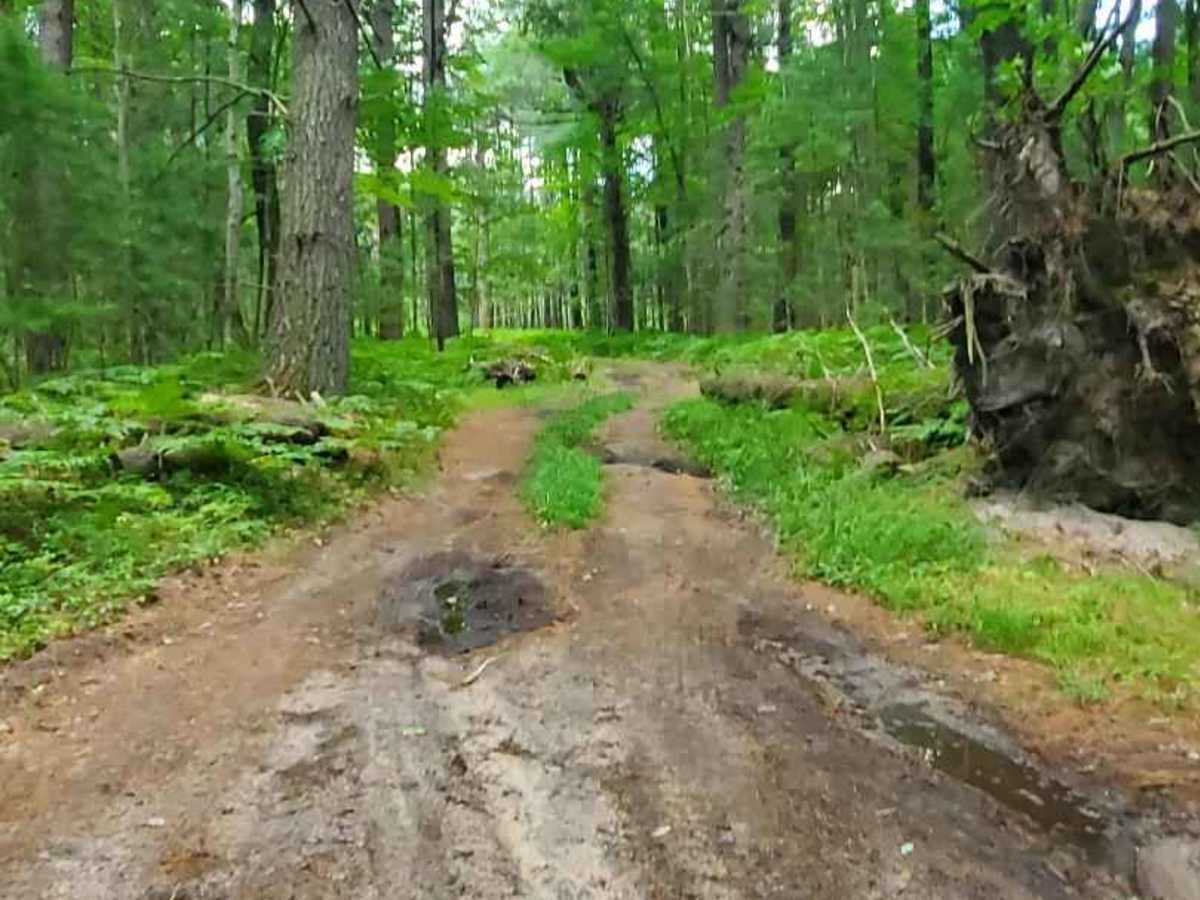 North Section 20 Road photo 4