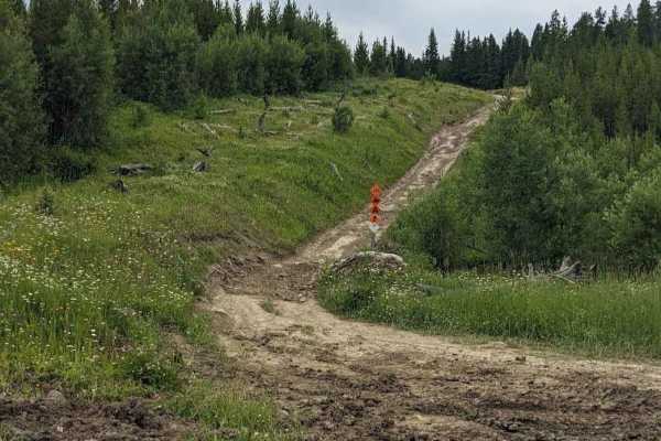Lyons Creek Loop - Trail 105/102
