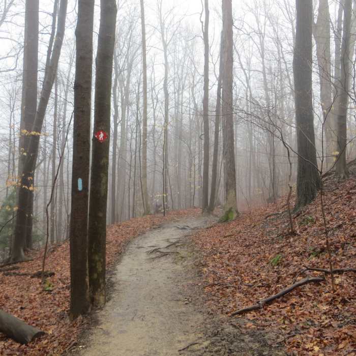 Near Deer Lick Cave Loop Trail