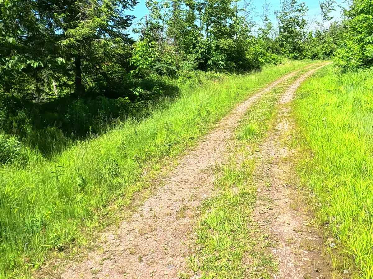 L'Anse Reservation Spur photo 5