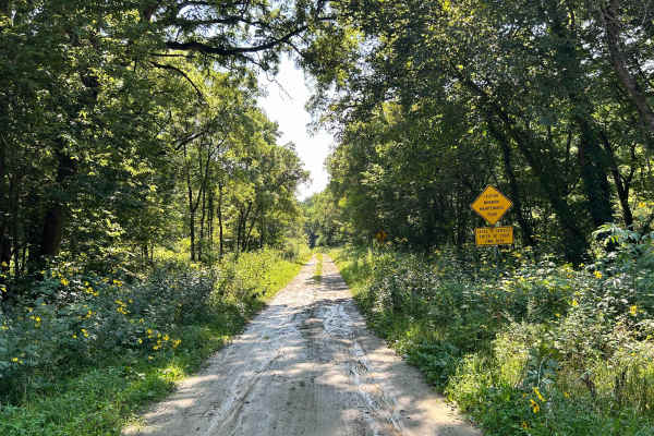 Dolphin Avenue
