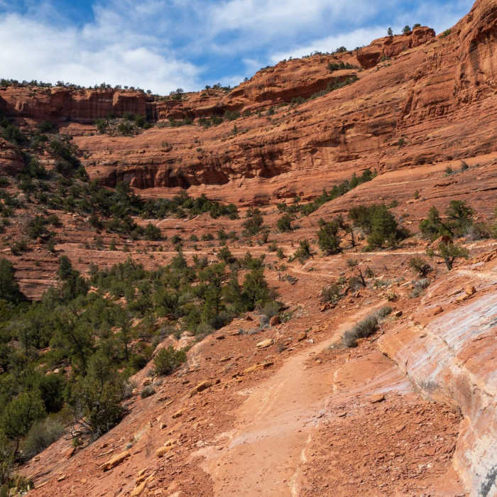 Near Mescal Mountain Loop