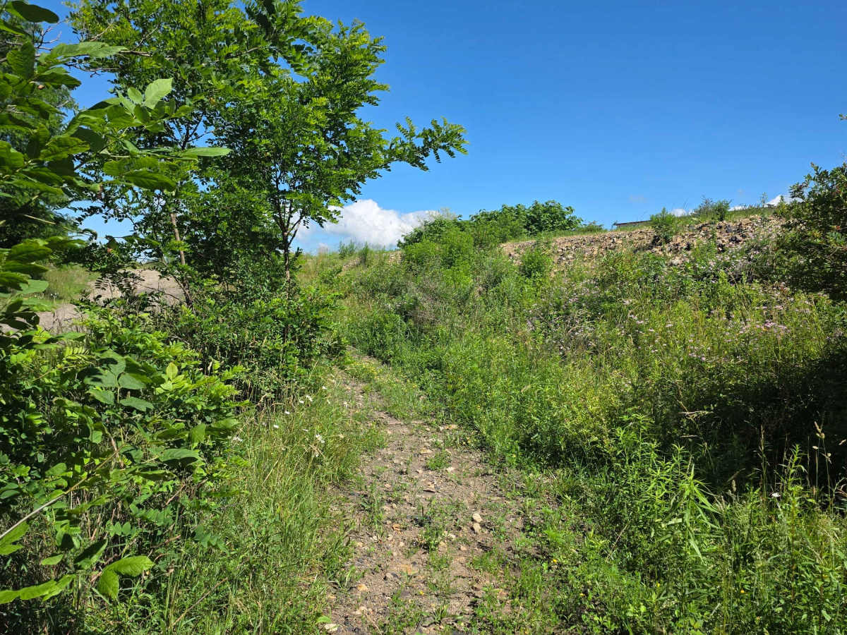 Single Track S1 trail photo