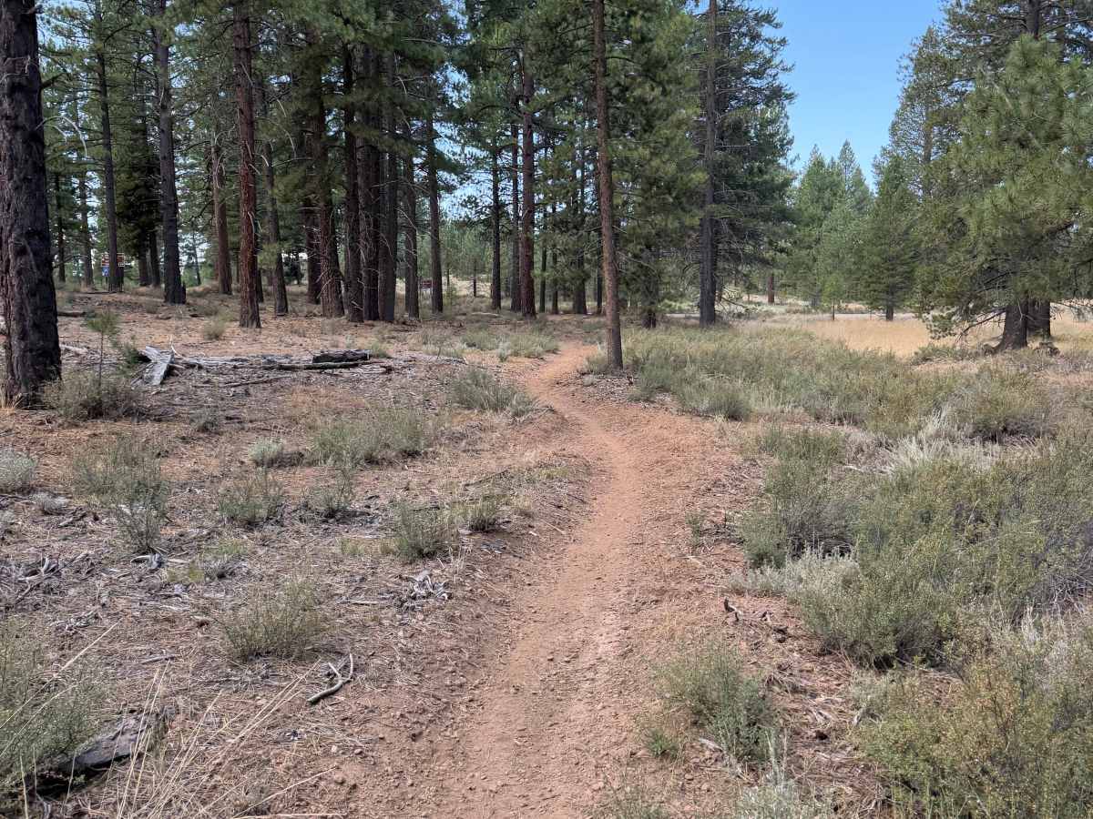 #46 trail photo