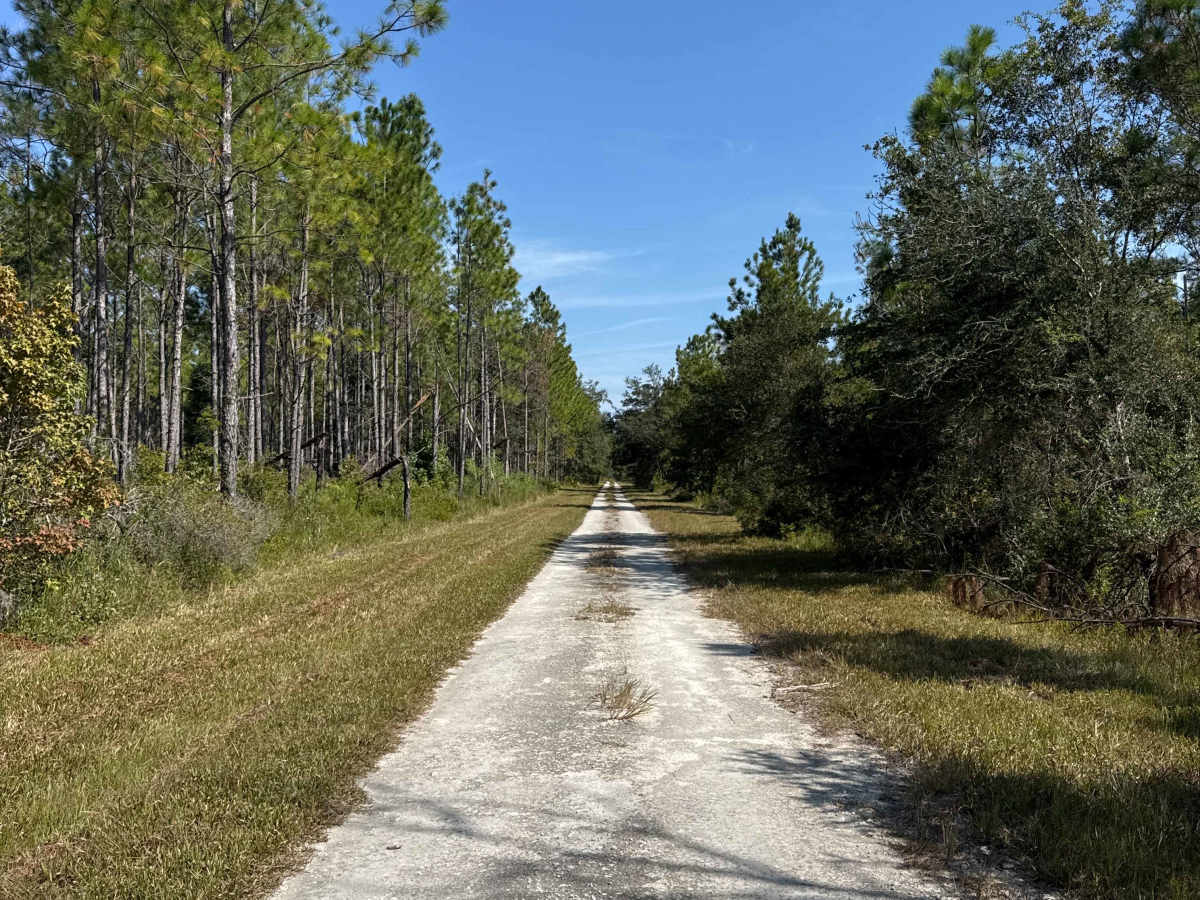 Rattlesnake Road trail photo