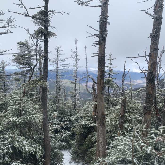 View from almost at south peak. Near Hancock Loop Trail