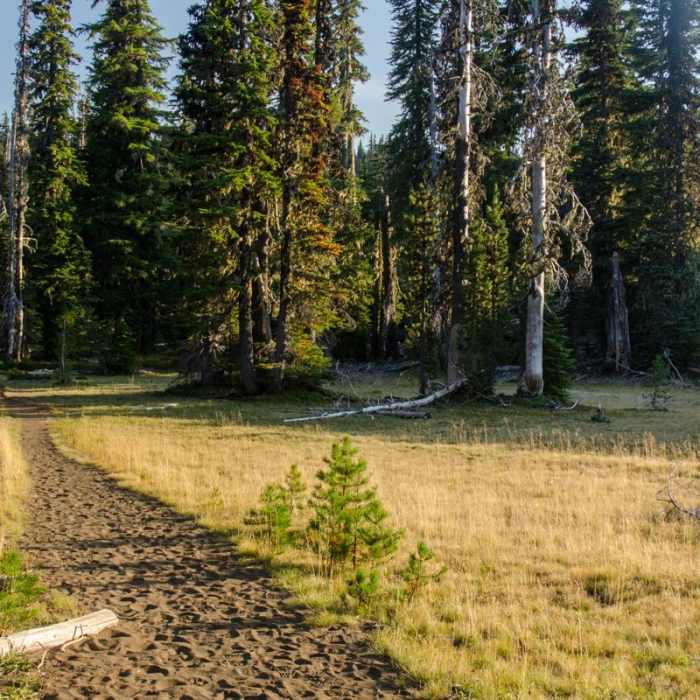 Near Matthieu Lakes Near Matthieu Lakes