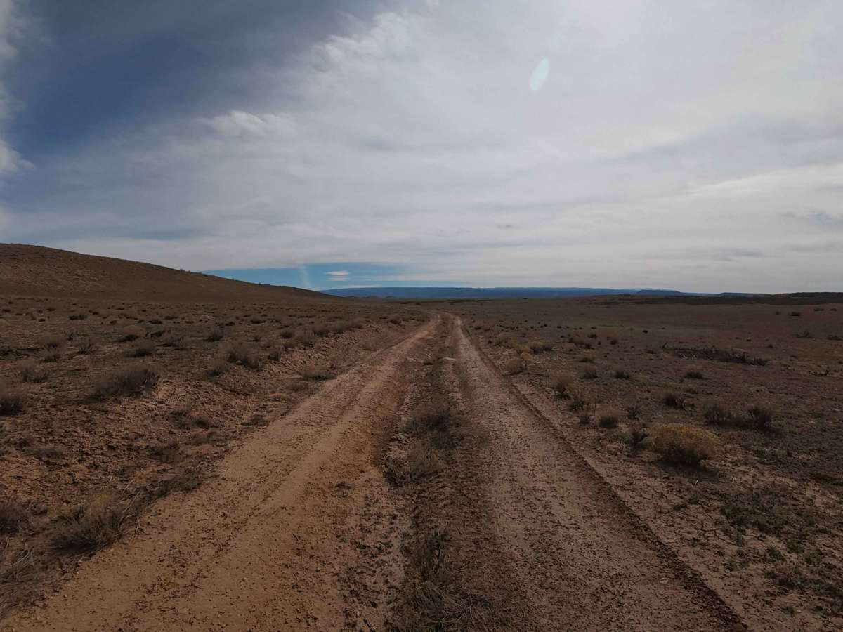 BLM 125 photo 4
