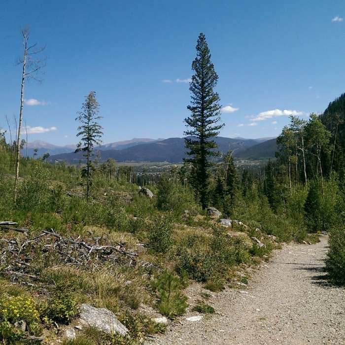 Near North Tenmile Creek