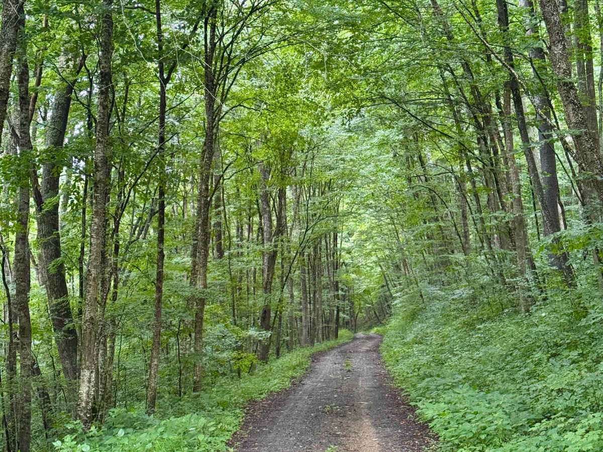 Laurel Run - FS 425 photo 6