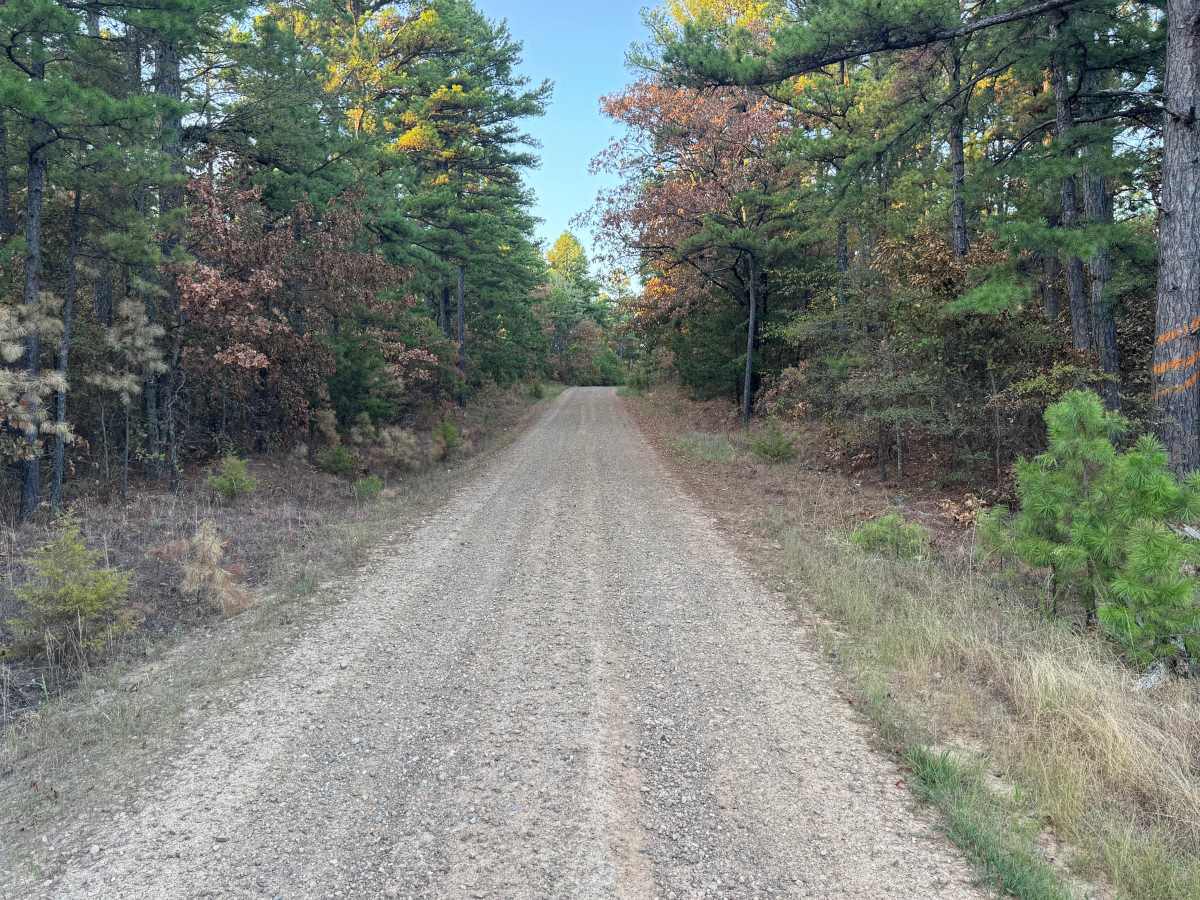 Zelon Young / Robert Hill Road photo 2