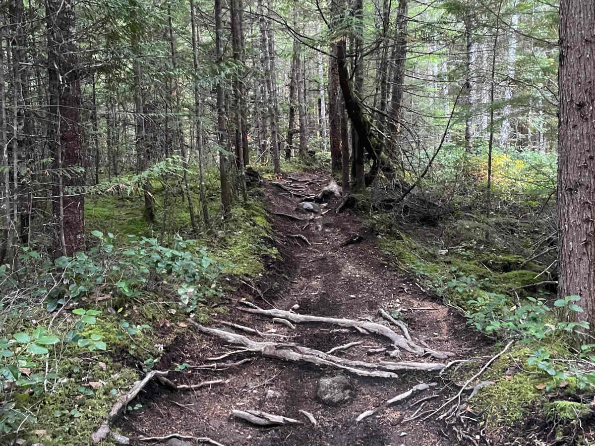 Mike’s Xing Alternative trail photo
