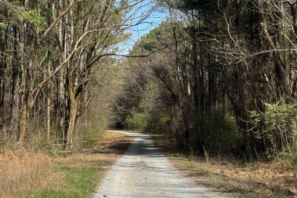 Hickory Point Boat Ramp - FS 871