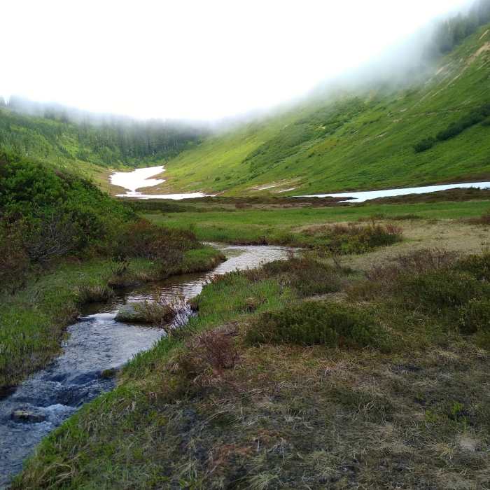 Near Little Wenatchee River Trail #1525