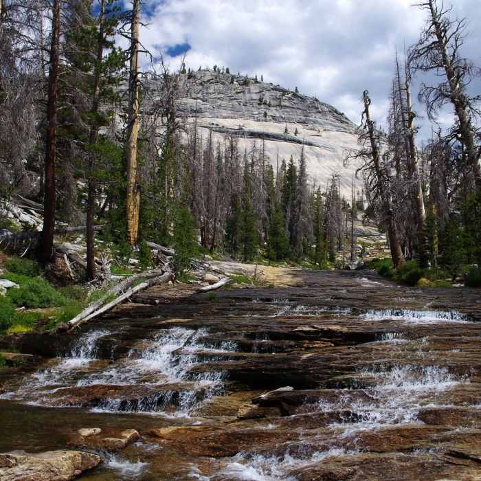 Along Emeric Creek Near Emeric Creek Trail