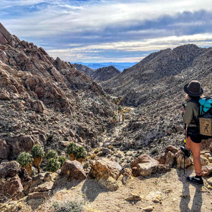 Near Lost Palms Canyon to Victory Palm Oasis