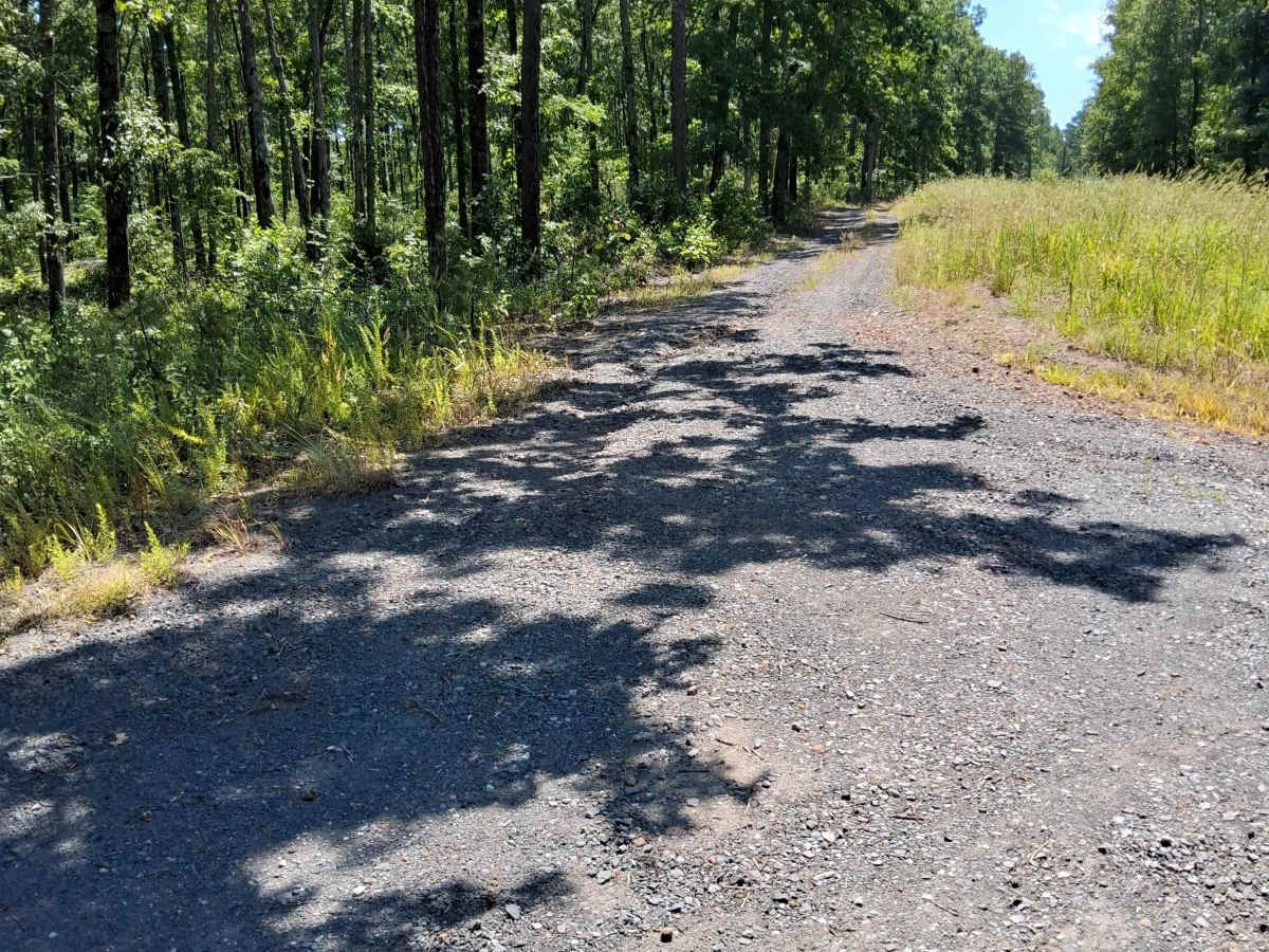 Eoff Road trail photo