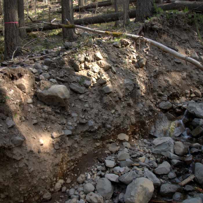 One of several washouts of the Red Blanket Trail. Near Red Blanket Falls Trail #1090