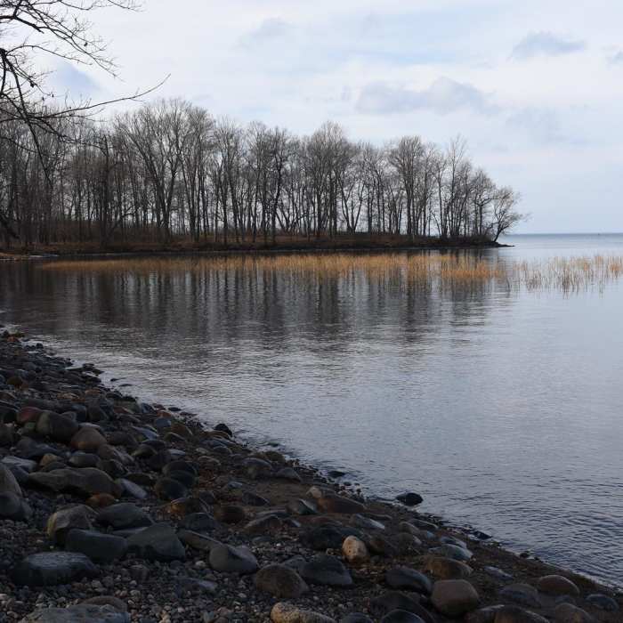 Near Hiking Club Trail